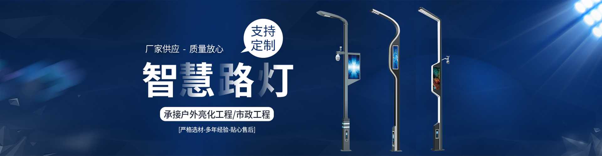 鹤城区太阳能路灯定制厂家