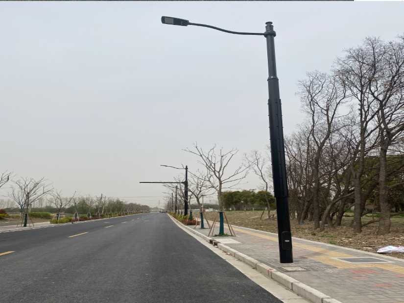 鹤城区上海综合杆 太阳能路灯工程